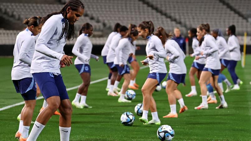 Coupe du monde féminine: quelles études ont suivi les joueuses de l’équipe de France?