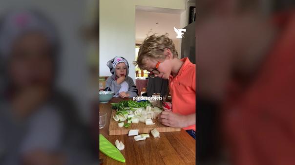 École à la maison : plongée dans le quotidien fascinant de trois enfants instruits en famille